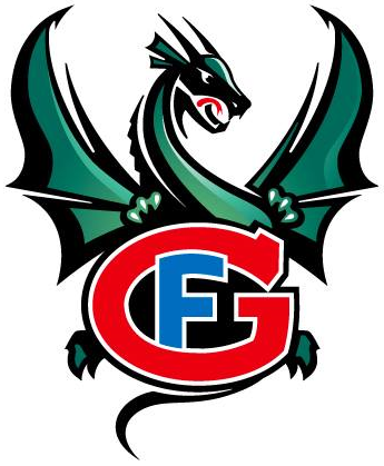 HC Fribourg-Gotteron 2015-Pres Primary Logo iron on heat transfer...